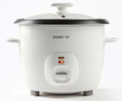 Cuiseur à Riz DOMO DO9176RK